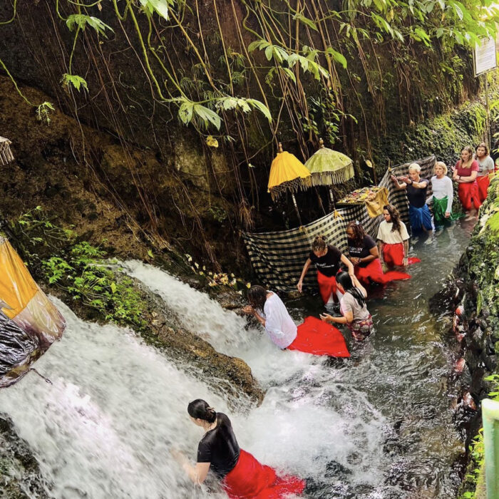 image_6487327-2-700x700