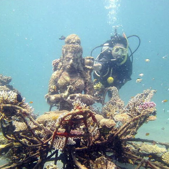 image_6487327-6-700x700