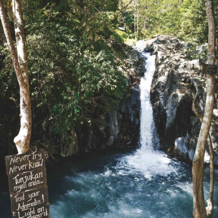 image_6487327-7-700x700